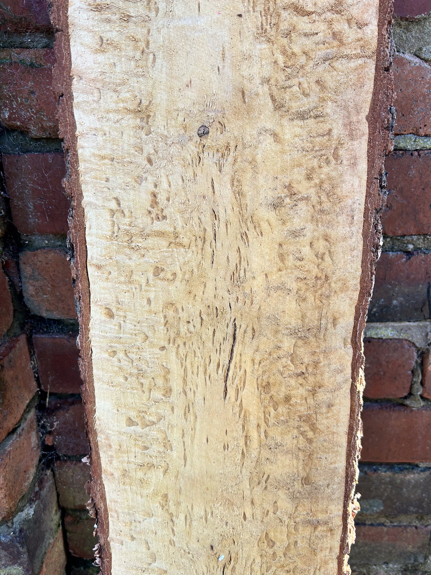 Masur Karelian Birch Slab | Kiln Dried | Live Edge | GRADE AAA